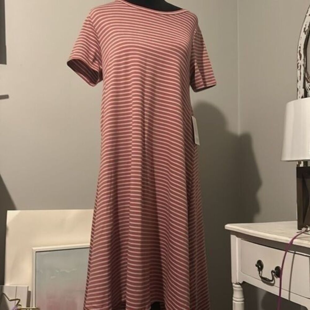 NWT Lularoe Carly XS   E
